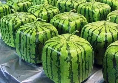 51吃瓜视频来源,热门事件幕后真相大起底