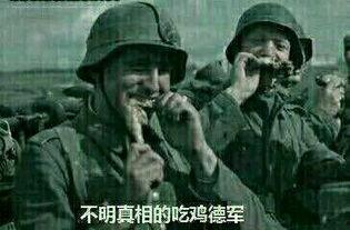 武清吃瓜群众事件真相视频,真相视频背后的真相披露