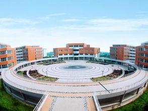 安阳工学院吃瓜视频,一场吃瓜视频引发的校园热议